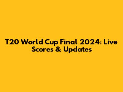T20 World Cup Final 2024: Live Scores & Updates