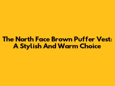 The North Face Brown Puffer Vest: A Stylish And Warm Choice