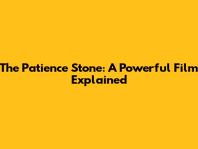The Patience Stone: A Powerful Film Explained