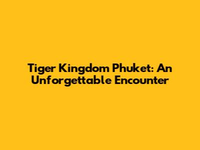 Tiger Kingdom Phuket: An Unforgettable Encounter