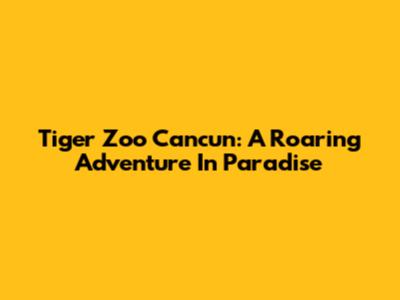 Tiger Zoo Cancun: A Roaring Adventure In Paradise