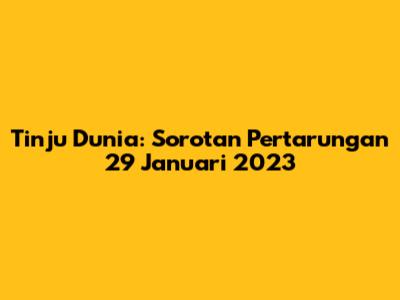 Tinju Dunia: Sorotan Pertarungan 29 Januari 2023