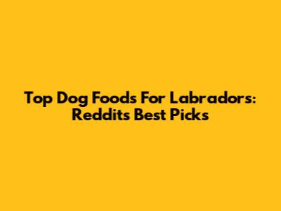 Top Dog Foods For Labradors: Reddit's Best Picks