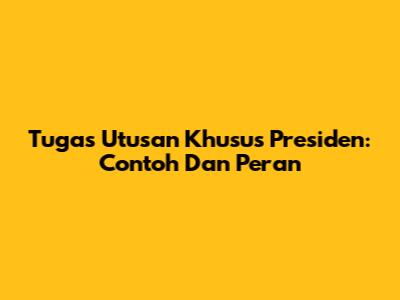 Tugas Utusan Khusus Presiden: Contoh Dan Peran