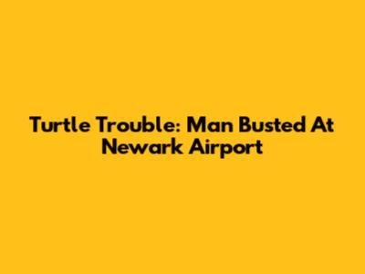 Turtle Trouble: Man Busted At Newark Airport