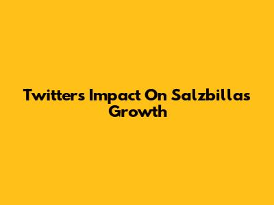 Twitter's Impact On Salzbilla's Growth