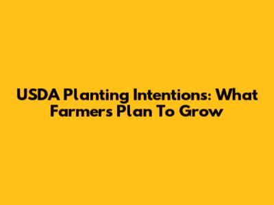 USDA Planting Intentions: What Farmers Plan To Grow
