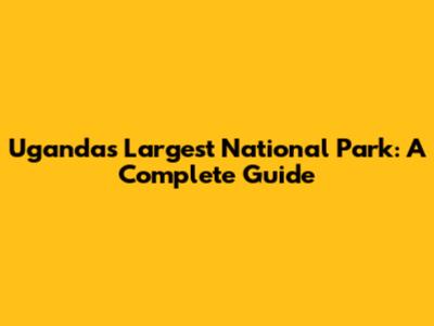 Uganda's Largest National Park: A Complete Guide