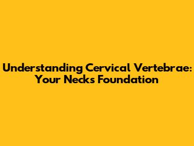 Understanding Cervical Vertebrae: Your Neck's Foundation