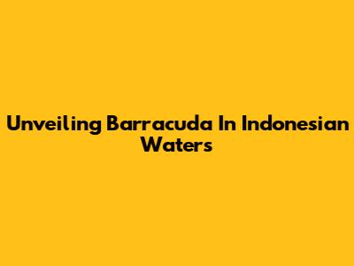 Unveiling Barracuda In Indonesian Waters