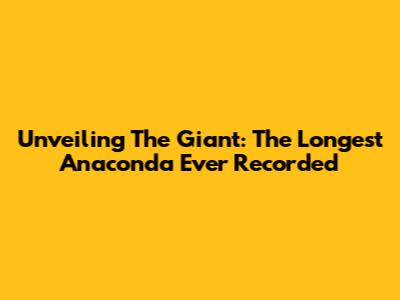 Unveiling The Giant: The Longest Anaconda Ever Recorded