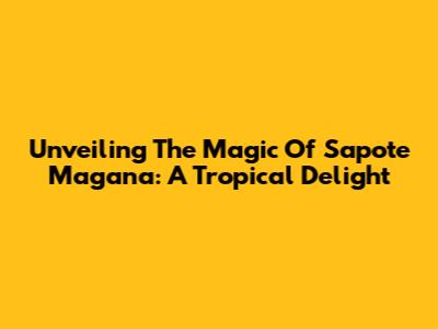 Unveiling The Magic Of Sapote Magana: A Tropical Delight