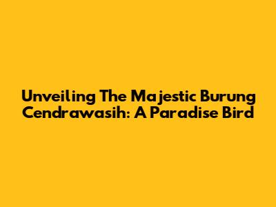 Unveiling The Majestic Burung Cendrawasih: A Paradise Bird