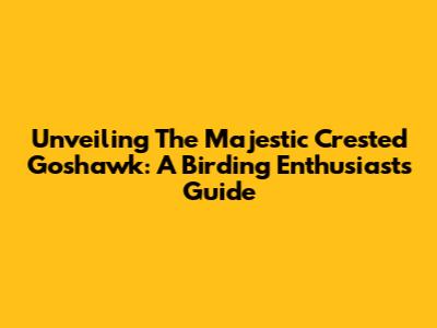 Unveiling The Majestic Crested Goshawk: A Birding Enthusiast's Guide