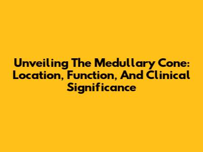 Unveiling The Medullary Cone: Location, Function, And Clinical Significance