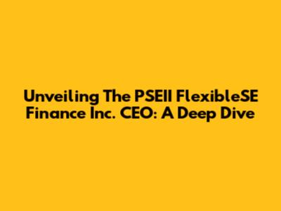 Unveiling The PSEII FlexibleSE Finance Inc. CEO: A Deep Dive