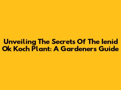 Unveiling The Secrets Of The Ienid Ok Koch Plant: A Gardener's Guide
