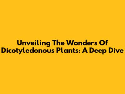 Unveiling The Wonders Of Dicotyledonous Plants: A Deep Dive
