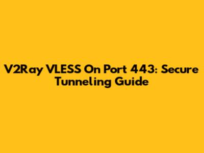 V2Ray VLESS On Port 443: Secure Tunneling Guide
