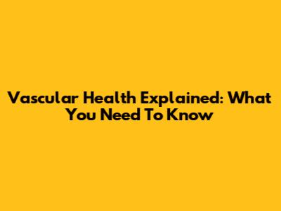 Vascular Health Explained: What You Need To Know