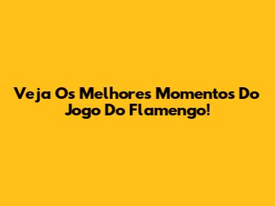 Veja Os Melhores Momentos Do Jogo Do Flamengo!