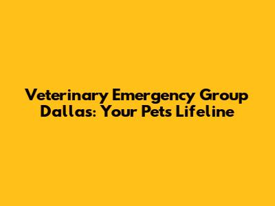 Veterinary Emergency Group Dallas: Your Pet's Lifeline