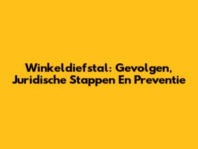 Winkeldiefstal: Gevolgen, Juridische Stappen En Preventie