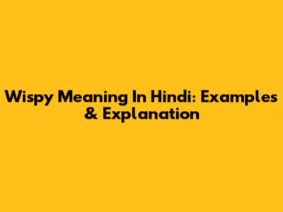 Wispy Meaning In Hindi: Examples & Explanation