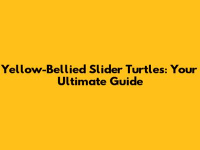 Yellow-Bellied Slider Turtles: Your Ultimate Guide