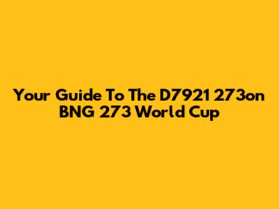 Your Guide To The D7921 273on BNG 273 World Cup