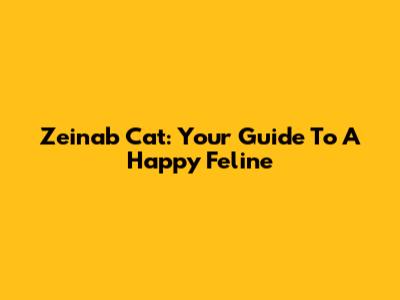 Zeinab Cat: Your Guide To A Happy Feline