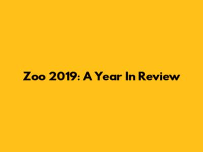 Zoo 2019: A Year In Review